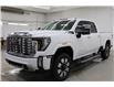 2025 GMC Sierra 1500 Denali (Stk: S1466) in Watrous - Image 4 of 45