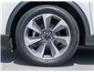 2023 Ford Escape Platinum (Stk: 25S5833A) in Mississauga - Image 6 of 28