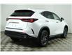 2025 Lexus NX 350h  (Stk: 15104750) in Richmond Hill - Image 7 of 26