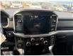 2025 Ford F-150 XLT (Stk: 25DFT020) in Drayton Valley - Image 12 of 15