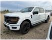 2025 Ford F-150 XLT (Stk: 25DFT042) in Drayton Valley - Image 4 of 13