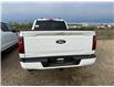 2025 Ford F-150 XLT (Stk: 25DFT042) in Drayton Valley - Image 5 of 13