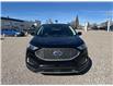 2024 Ford Edge SEL (Stk: 5B9725) in Cardston - Image 8 of 13