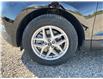 2024 Ford Edge SEL (Stk: 5B9725) in Cardston - Image 9 of 13