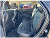2024 Ford Edge SEL (Stk: 5B9725) in Cardston - Image 12 of 13