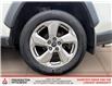 2021 Toyota RAV4 Hybrid Limited (Stk: 251383NA) in Fredericton - Image 8 of 19