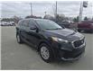 2019 Kia Sorento 2.4L LX (Stk: R087A) in Miramichi - Image 7 of 13