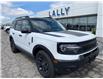 2025 Ford Bronco Sport Big Bend (Stk: LFBS00452) in Tilbury - Image 1 of 16