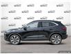 2025 Ford Escape Platinum (Stk: 25ES806) in St. Catharines - Image 3 of 25