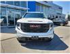 2025 GMC Sierra 1500 Elevation (Stk: Z131222) in Newmarket - Image 2 of 21