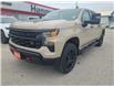 2022 Chevrolet Silverado 1500 Custom Trail Boss (Stk: U3737A) in Hanover - Image 1 of 14