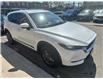2017 Mazda CX-5 GS (Stk: M119391) in Scarborough - Image 6 of 16