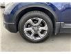 2019 Honda CR-V EX-L (Stk: N259-5969A) in Chilliwack - Image 8 of 18