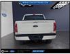 2021 Ford F-150 XLT (Stk: F51595A) in GEORGETOWN - Image 9 of 11