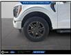 2021 Ford F-150 XLT (Stk: F51595A) in GEORGETOWN - Image 11 of 11