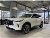 2022 Infiniti QX60 Luxe (Stk: 80018) in Mississauga - Image 1 of 25