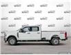 2025 Ford F-250 XLT (Stk: FH027) in Sault Ste. Marie - Image 3 of 25