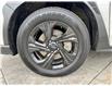 2024 Subaru Crosstrek Convenience (Stk: L25664A) in Calgary - Image 22 of 23