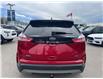 2022 Ford Edge SEL (Stk: T25324) in Calgary - Image 4 of 22