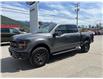 2025 Ford F-150 Tremor (Stk: 25T842) in CRESTON - Image 3 of 29