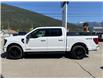 2025 Ford F-150 XLT (Stk: 25T839) in CRESTON - Image 4 of 27