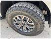 2025 Ford F-150 Tremor (Stk: 25T842) in CRESTON - Image 11 of 29
