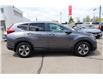 2019 Honda CR-V LX (Stk: 2213685A) in Mississauga - Image 6 of 24