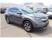 2019 Honda CR-V LX (Stk: 2213685A) in Mississauga - Image 7 of 24