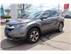 2019 Honda CR-V LX (Stk: 2213685A) in Mississauga - Image 1 of 24