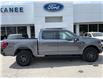 2025 Ford F-150 Tremor (Stk: 25T842) in CRESTON - Image 10 of 29
