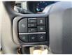 2025 Ford F-150 Tremor (Stk: 25T842) in CRESTON - Image 24 of 29
