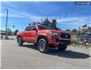 2018 Toyota Tacoma TRD Sport (Stk: T5080A) in Kamloops - Image 26 of 26