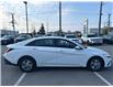 2024 Hyundai Elantra ESSENTIAL (Stk: 34235B) in Scarborough - Image 6 of 17