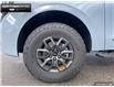 2025 Ford Expedition Tremor (Stk: 5EP5396) in Brantford - Image 6 of 23
