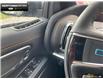 2025 Ford Expedition Tremor (Stk: 5EP5396) in Brantford - Image 15 of 23