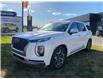 2022 Hyundai Palisade Ultimate Calligraphy (Stk: F0661) in Saskatoon - Image 3 of 30
