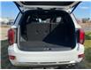 2022 Hyundai Palisade Ultimate Calligraphy (Stk: F0661) in Saskatoon - Image 10 of 30
