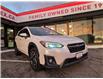 2019 Subaru Crosstrek Limited (Stk: 2504168) in Waterloo - Image 7 of 28