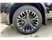 2025 Nissan Rogue Platinum (Stk: 25RG4953) in Cranbrook - Image 12 of 13