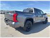 2025 Toyota Tundra Limited (Stk: X302208) in Cranbrook - Image 5 of 22