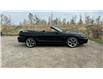 1997 Ford Mustang GT (Stk: #151434) in Calgary - Image 12 of 27