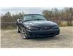 1997 Ford Mustang GT (Stk: #151434) in Calgary - Image 1 of 27