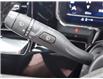 2025 Chevrolet Silverado 3500HD LT (Stk: N250482) in Stony Plain - Image 49 of 50