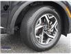 2023 Kia Sportage LX (Stk: KZ297A) in Ottawa - Image 9 of 22
