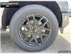 2025 Ford F-150 STX (Stk: 5F198944) in Brantford - Image 6 of 23