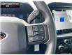 2025 Ford F-150 STX (Stk: 5F198944) in Brantford - Image 14 of 23