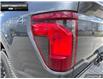 2025 Ford F-150 XLT (Stk: 5F188896) in Brantford - Image 9 of 22
