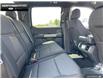 2025 Ford F-150 XLT (Stk: 5F188896) in Brantford - Image 20 of 22