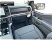 2025 Ford F-150 XLT (Stk: 5F188896) in Brantford - Image 22 of 22