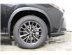 2025 Lexus NX 450h+  (Stk: 15104756) in Richmond Hill - Image 8 of 11